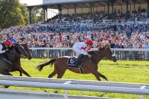 India gewinnt den 61. Preis von. Europa_9_230924-2 (002)