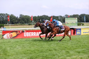 Dhitjari (GB) ( Bauyrzhan Murzabayev )