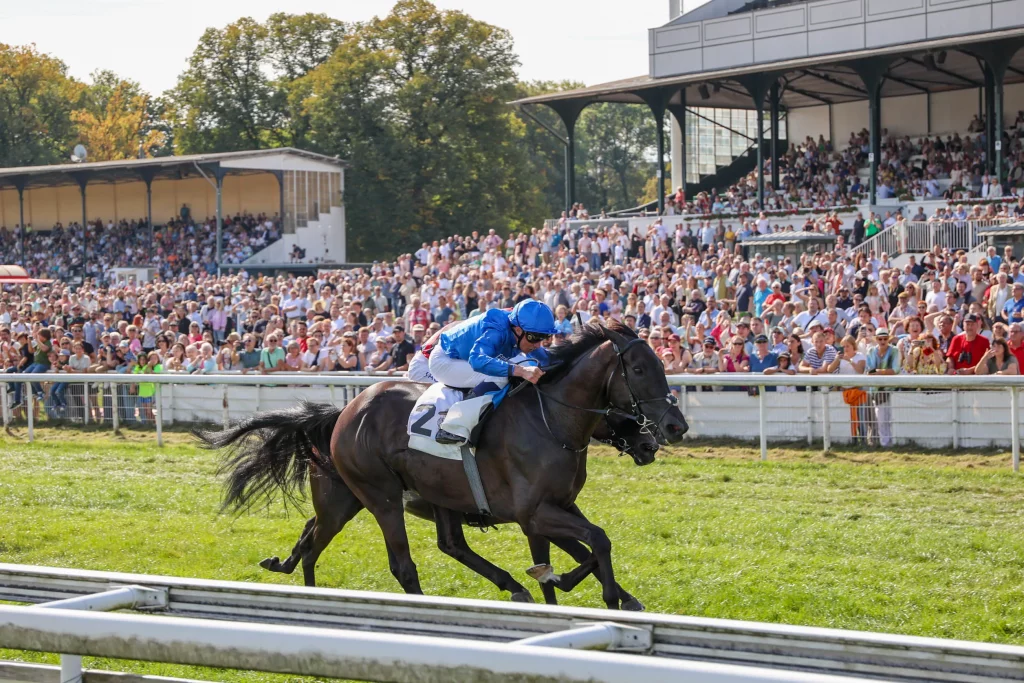 Rebels Romance gewinnt unter William T. Buick den 62. Preis von Europpa_copyright sabine.effgen-2