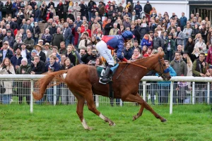 Flatten the Curve gewinnt unter Thore Hammer Hansen das Silberne Pferd G3_copyright sabine.effgen-3