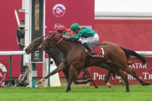 Vertical-Blue-gewinnt-Marcel-Boussac241006