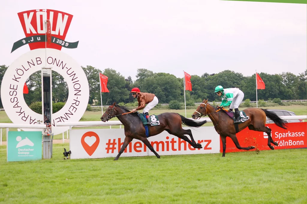 Zuckerhut ( Andrasch Starke )