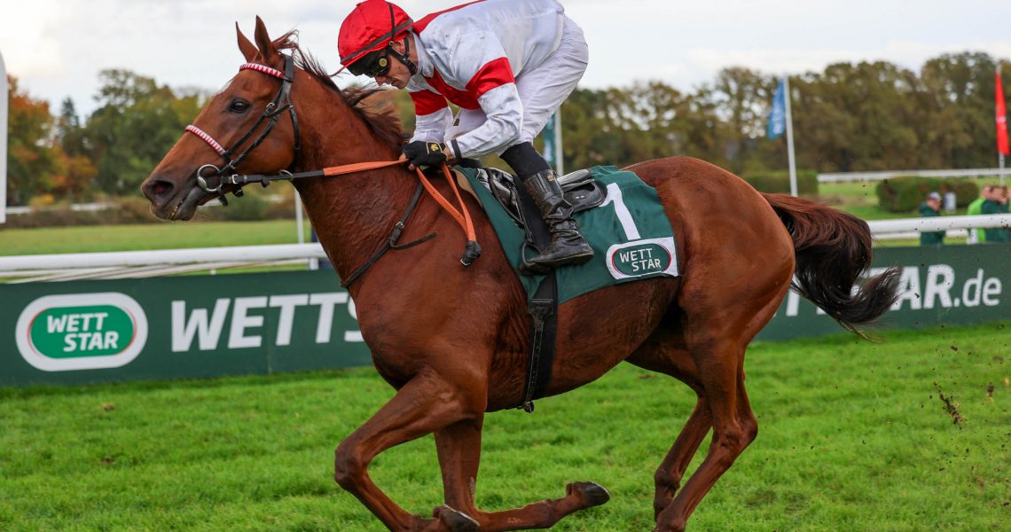 Lordano siegt unter Rene Piechulek im Silbernes Pferd
